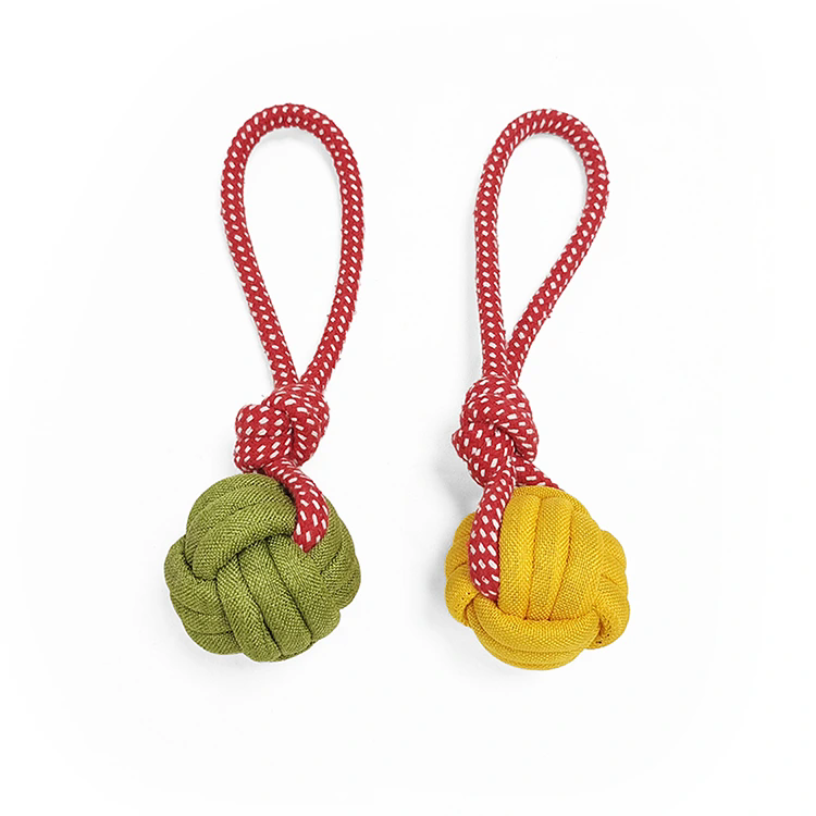 Qu'est-ce qui fait des jouets en corde de coton l'avenir du jeu sûr et durable pour animaux de compagnie ?