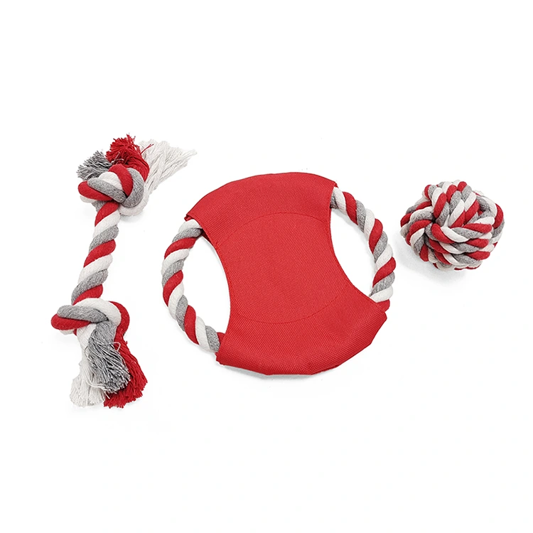 Ensemble de jouets pour animaux de compagnie classique de 3