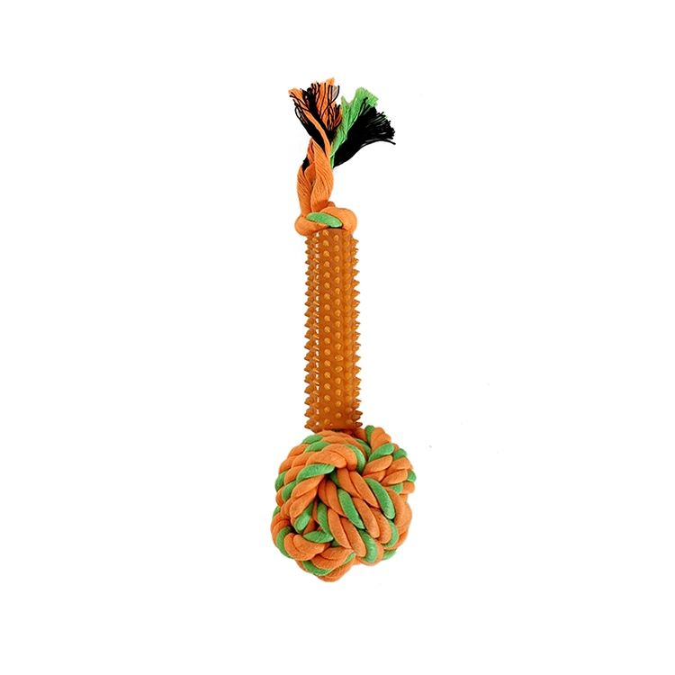 Toys de nettoyage de dentiste de chien dentaire