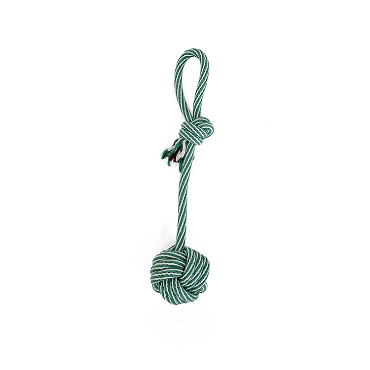 Corde de remorqueur de chien extérieur