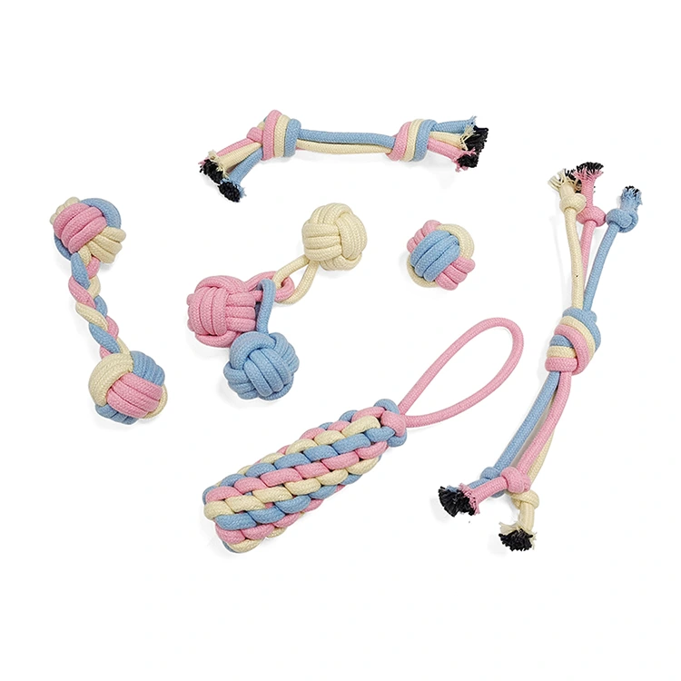 Jouets de chiot en jeu pour les petits chiens de dentition 6 pack