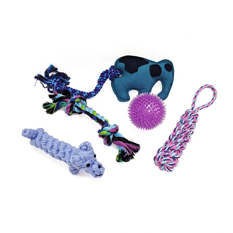 Ensemble de 5 jouets pour chiens